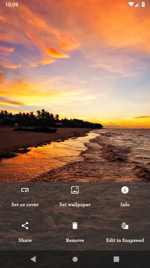 Les Pas  Nextcloud相册应用